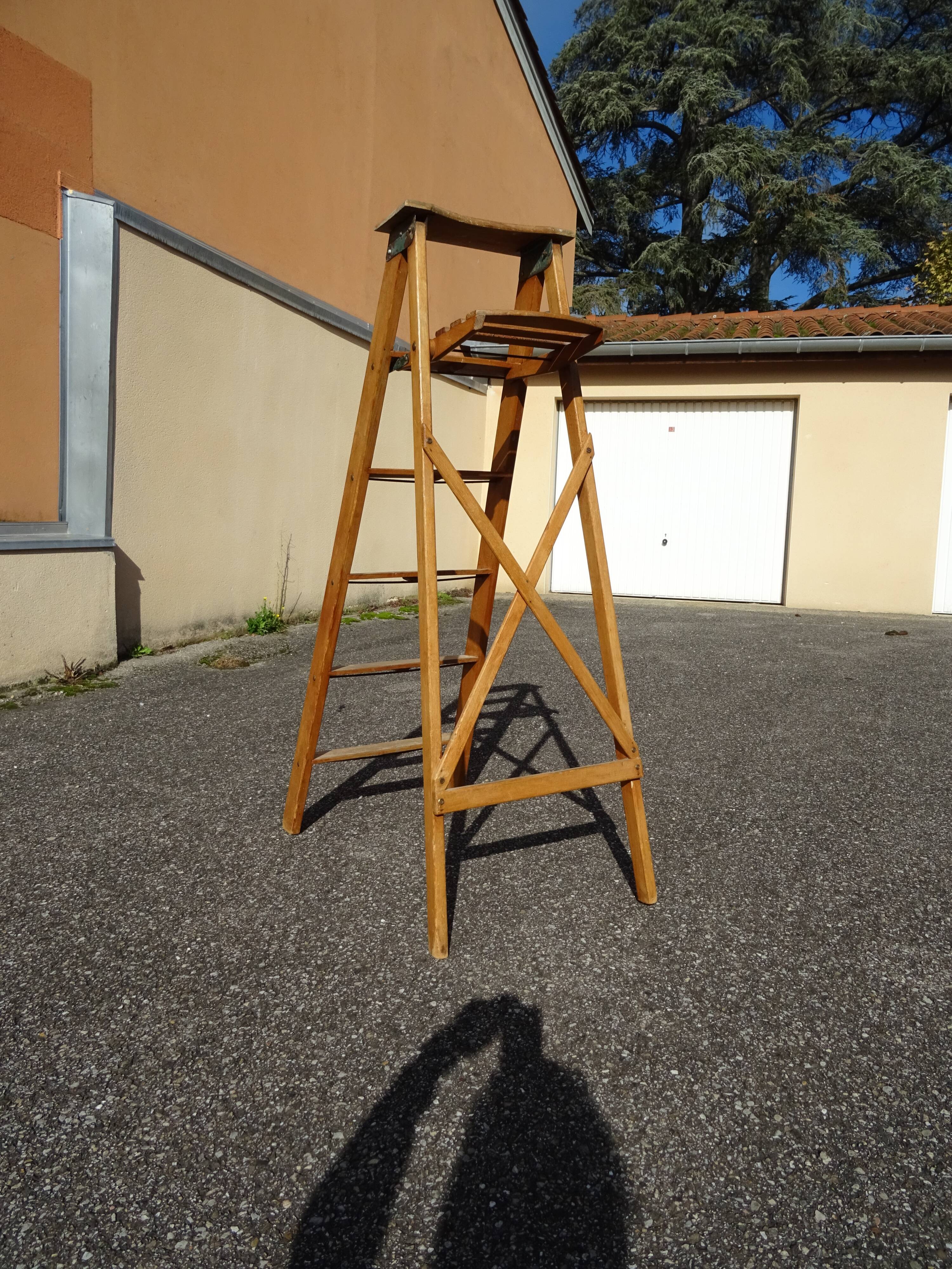 Montana France painter's stepladder
