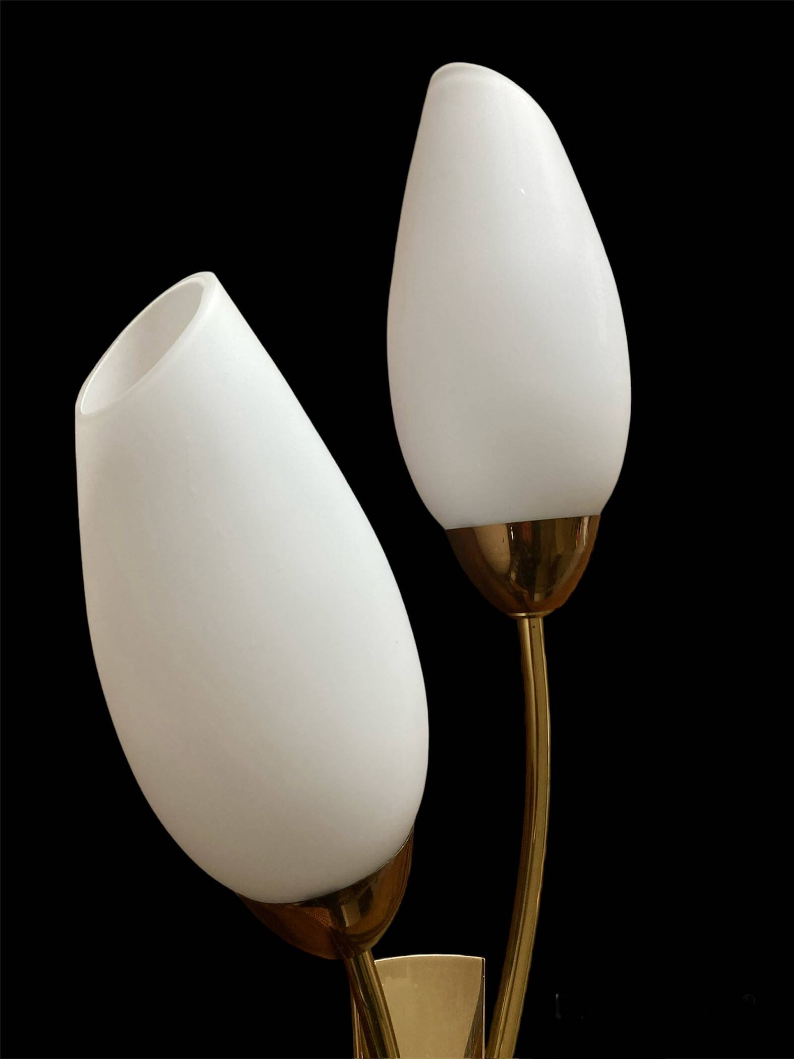 Brass and white opaline wall lights, "Tulip" type, 1950