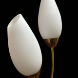 Brass and white opaline wall lights, "Tulip" type, 1950