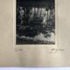 Georges lefebvre, reflections, black and white photograph, circa 1930. signed in ink