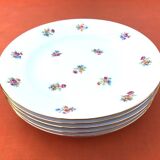 5 antique porcelain soup plates PN France