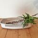 Enamelled metal dish