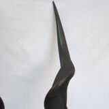 Ancient and very large hunting trophy. Derby Elk