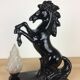 Prancing horse lamp and flame