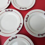 6 flat plates salty iron earth