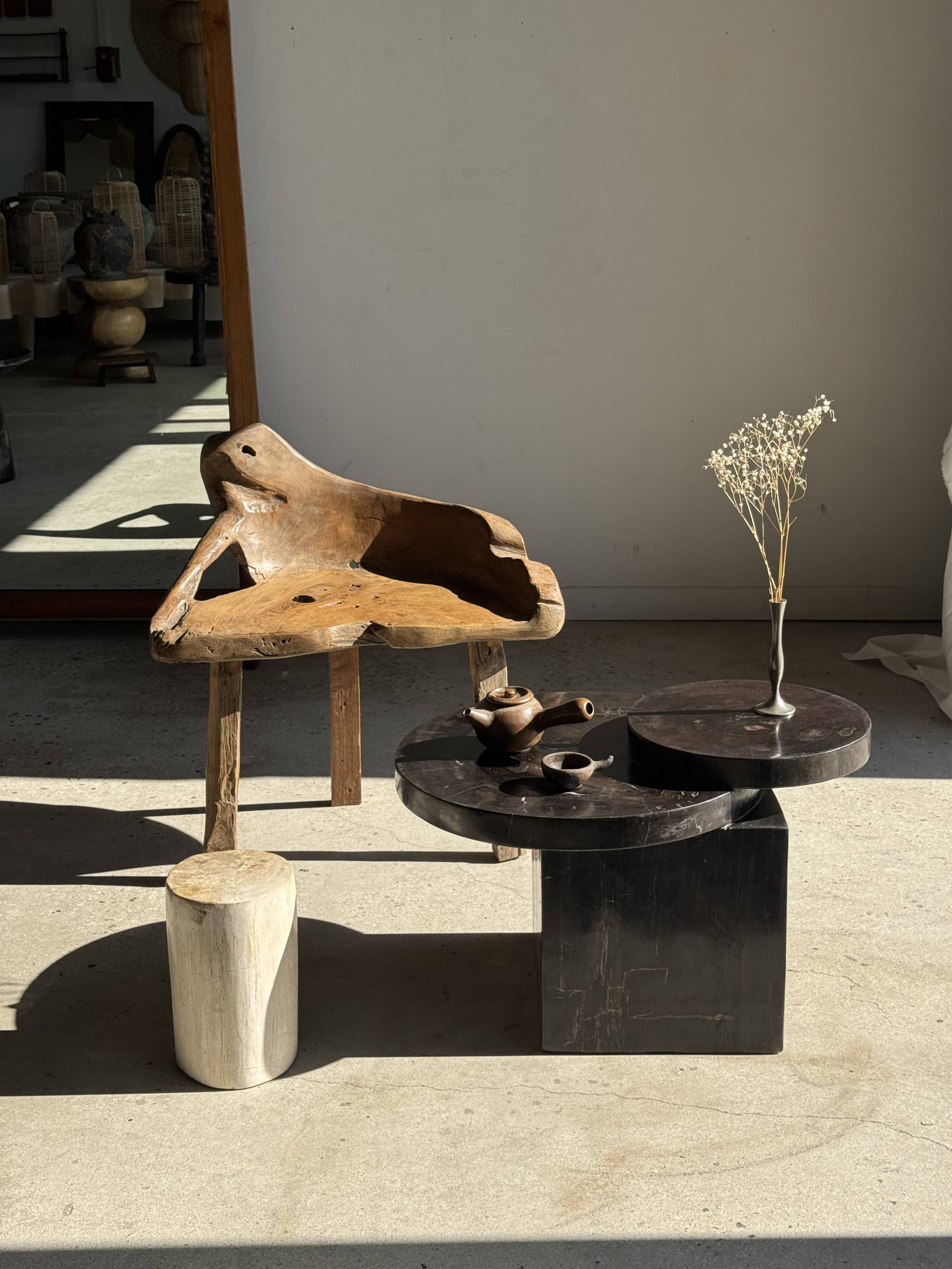 Brown petrified wood coffee table from Indonesia with a double circular top.