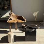 Brown petrified wood coffee table from Indonesia with a double circular top.