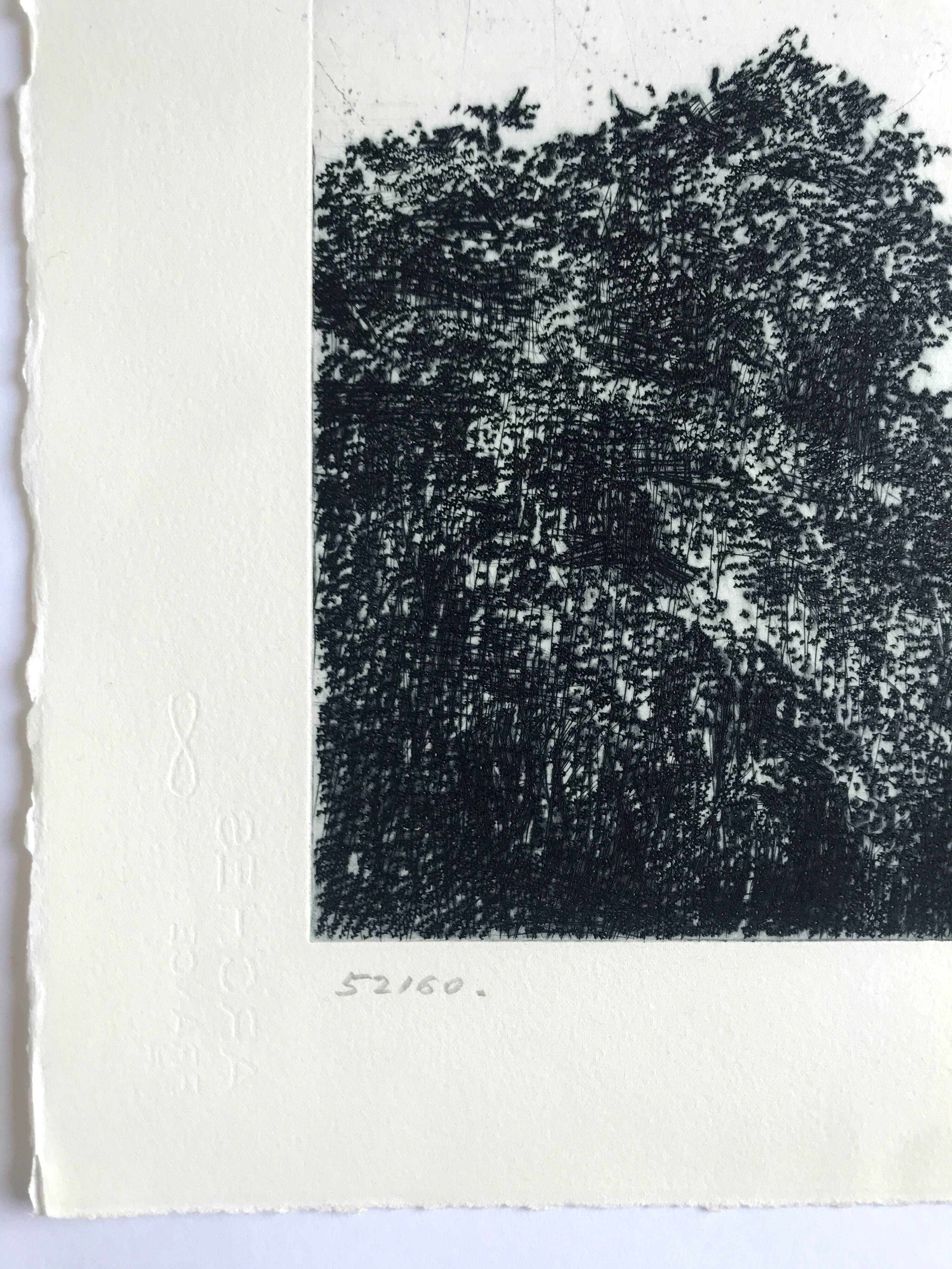 Nicole BOUHARMONT, Parc de Sceaux I, 2003-16. Drypoint signed in pencil