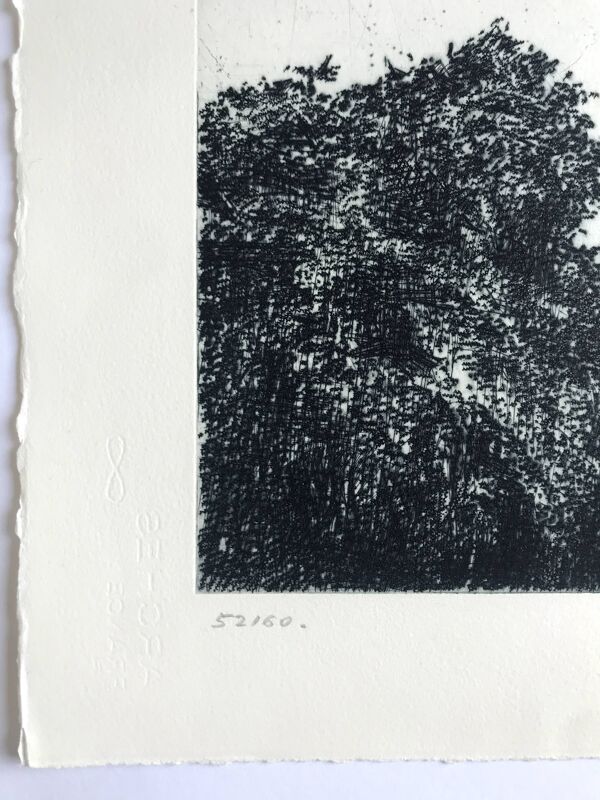 Nicole Bouharmont, Parc de Sceaux i, 2003-16. pointe sèche signée au crayon