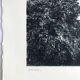 Nicole BOUHARMONT, Parc de Sceaux I, 2003-16. Drypoint signed in pencil