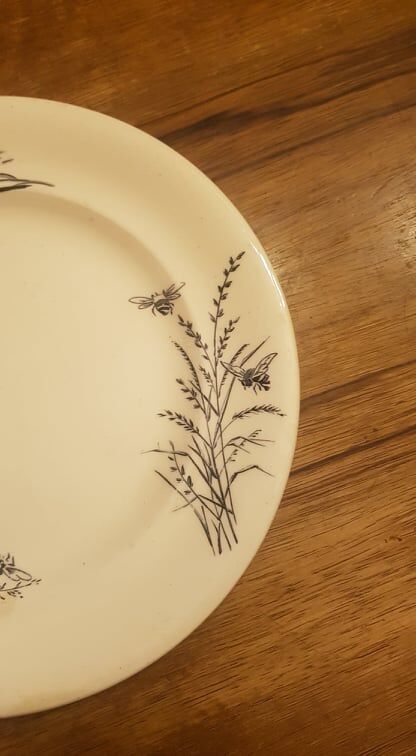 Set of 2 plates in Iron Earth SG model Fleurs des Champs