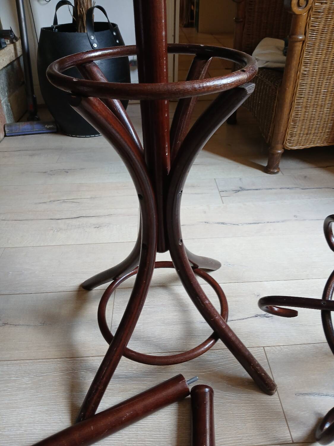 Porte manteau perroquet