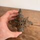 Trimurti Head Mask Deity Demon Kala Bird Garuda Indonesia Bali