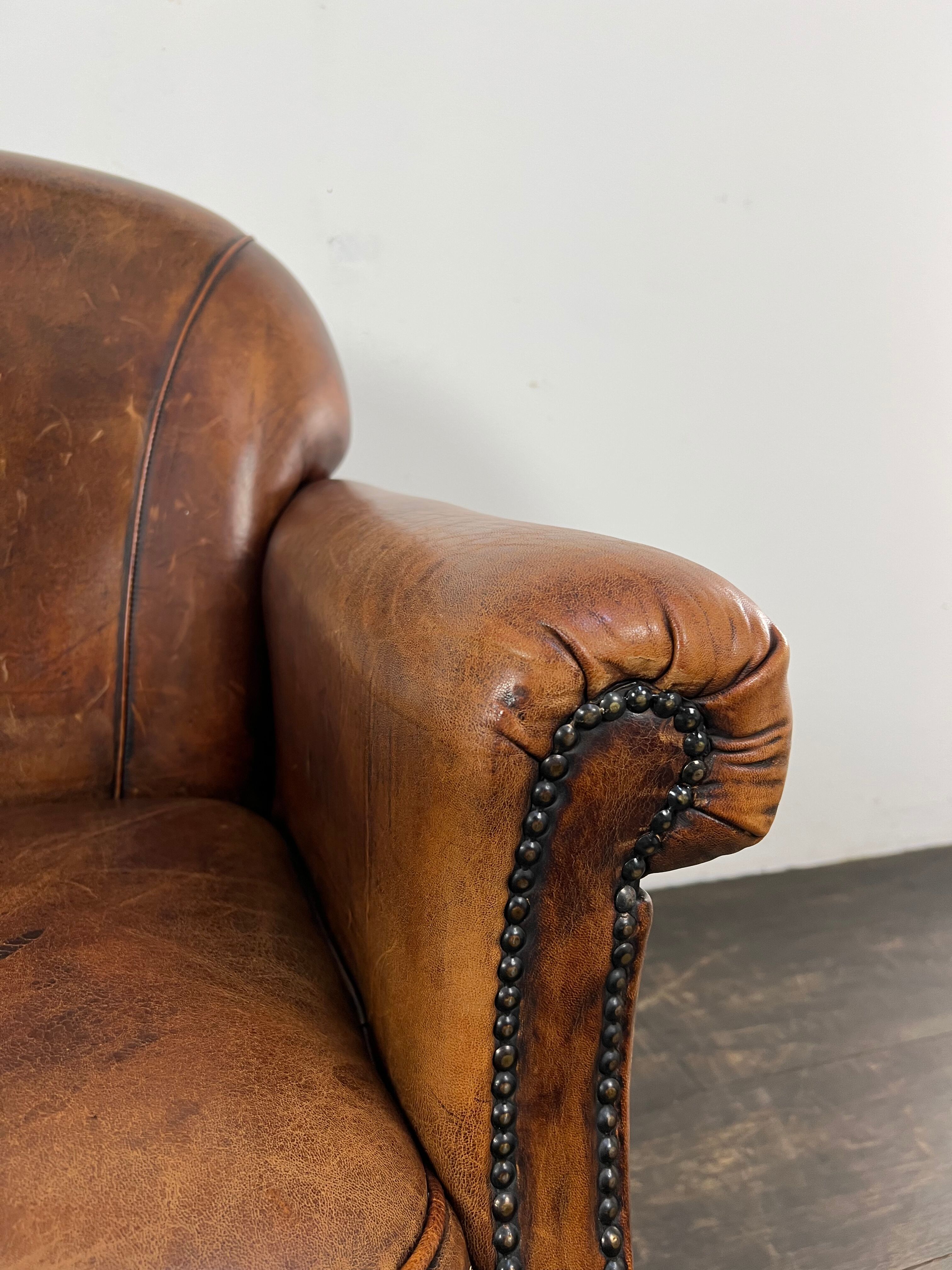 Club chair sheep leather
