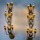 Pair of gilded floral wall lights by Ferro Arte, XL size, Spain, 1960s
