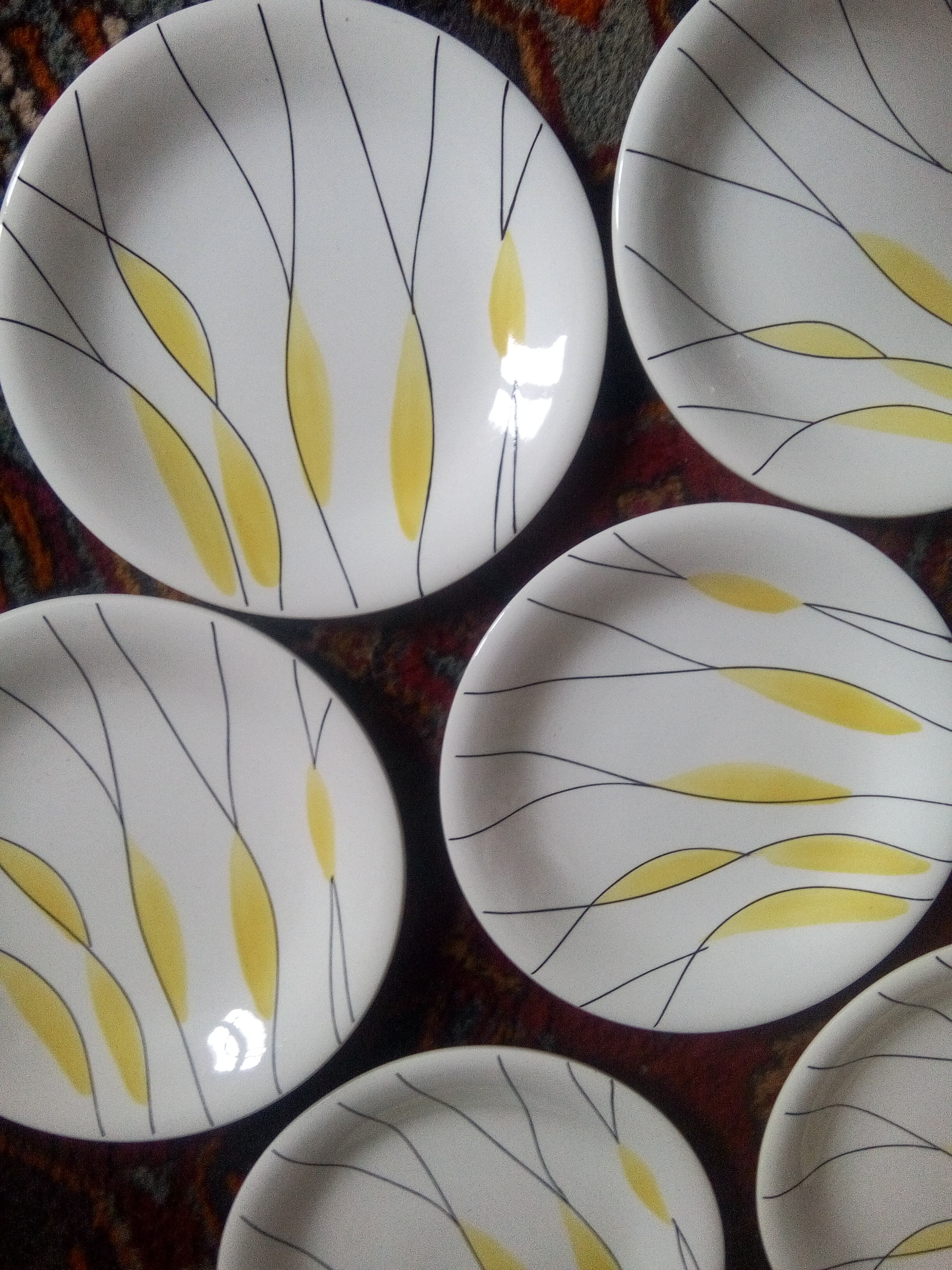 Salins "Moonlight" plates