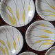 Salins "Moonlight" plates