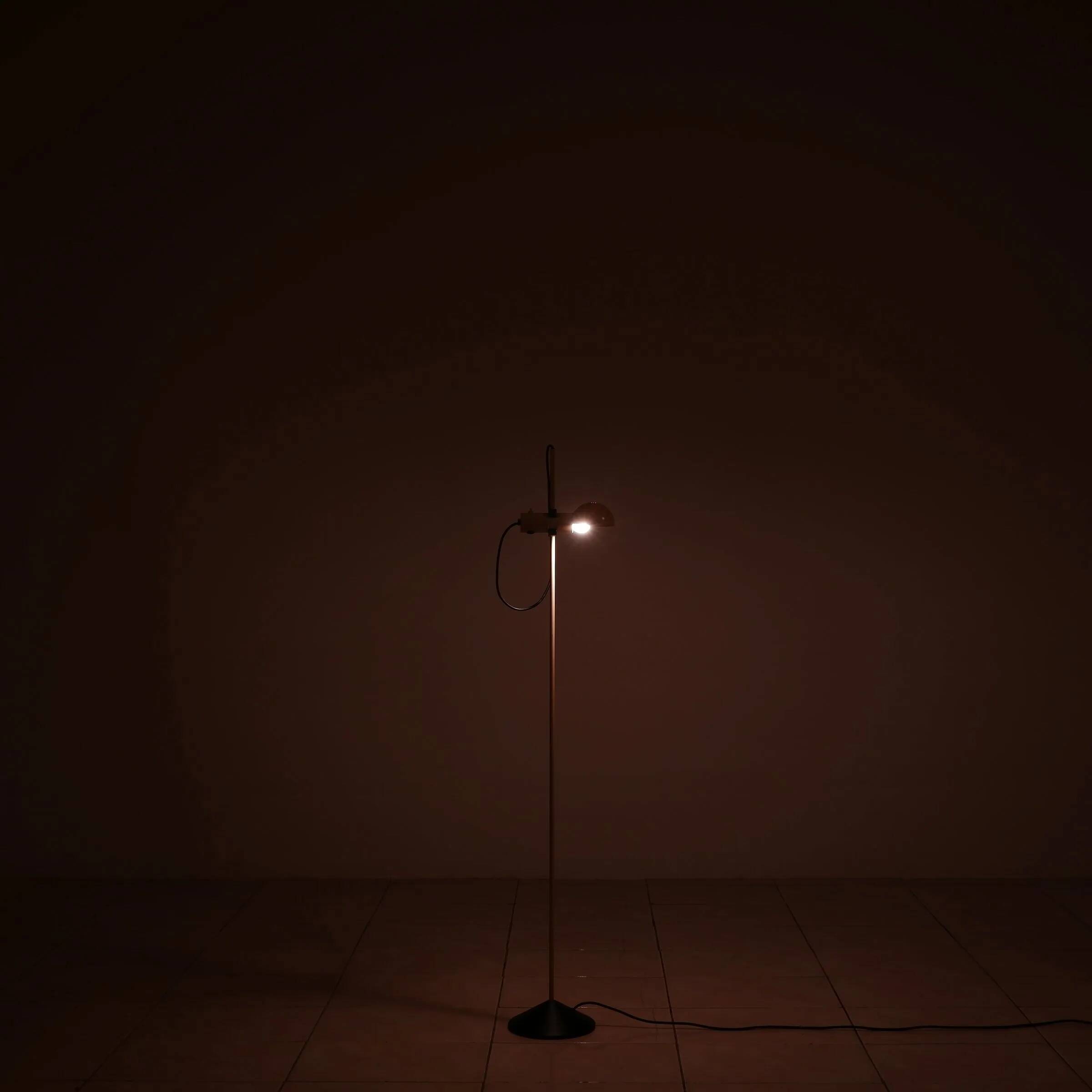 Adjustable floor lamp by Barbieri & Marianelli for Tronconi