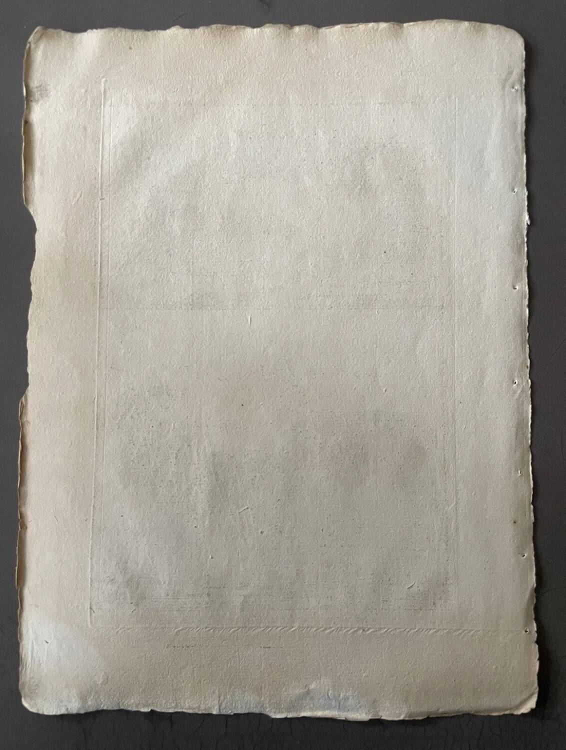 Gravure Livre ancien XVIIIe Buffon, Bonnaterre, Histoire naturelle