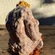 Sculpture contemporaine figure féminine terre cuite émaillée signée