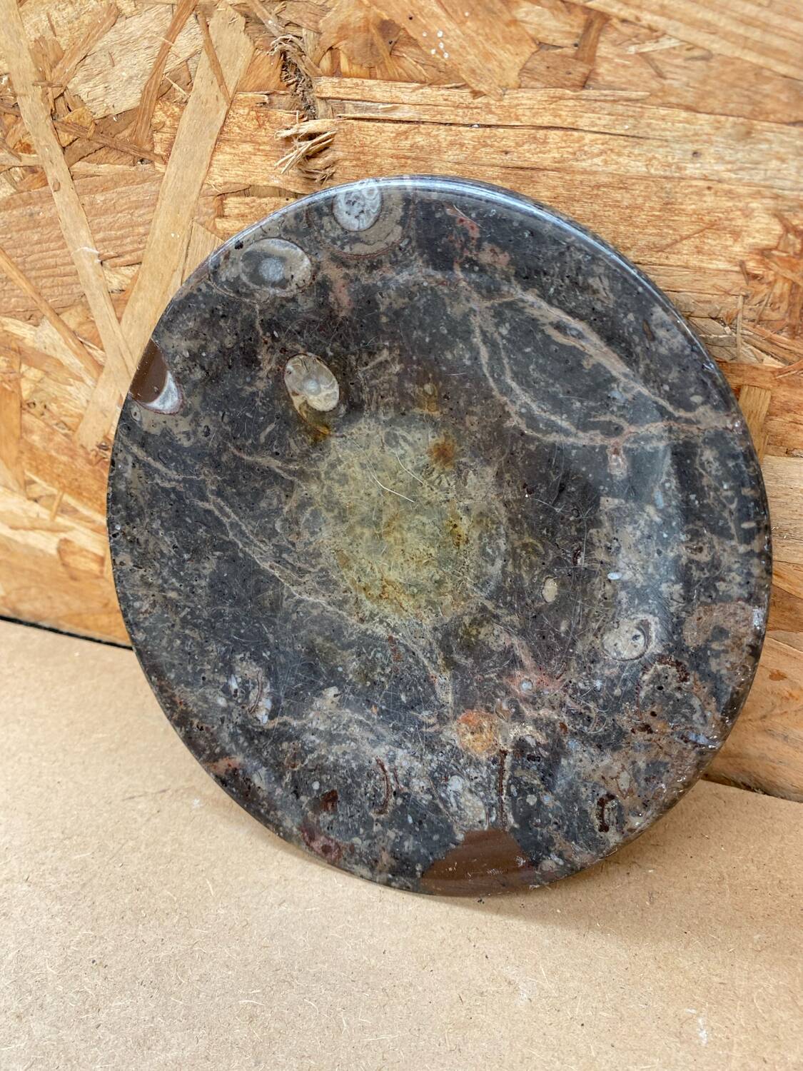 Antique Vintage Fossilized Marble Plate Tray