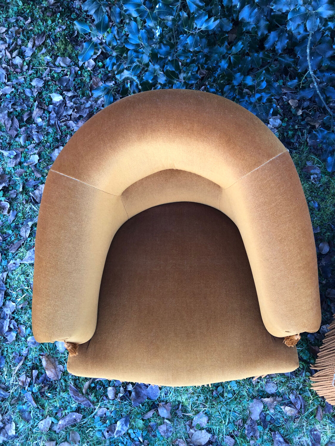 Fauteuils crapaud