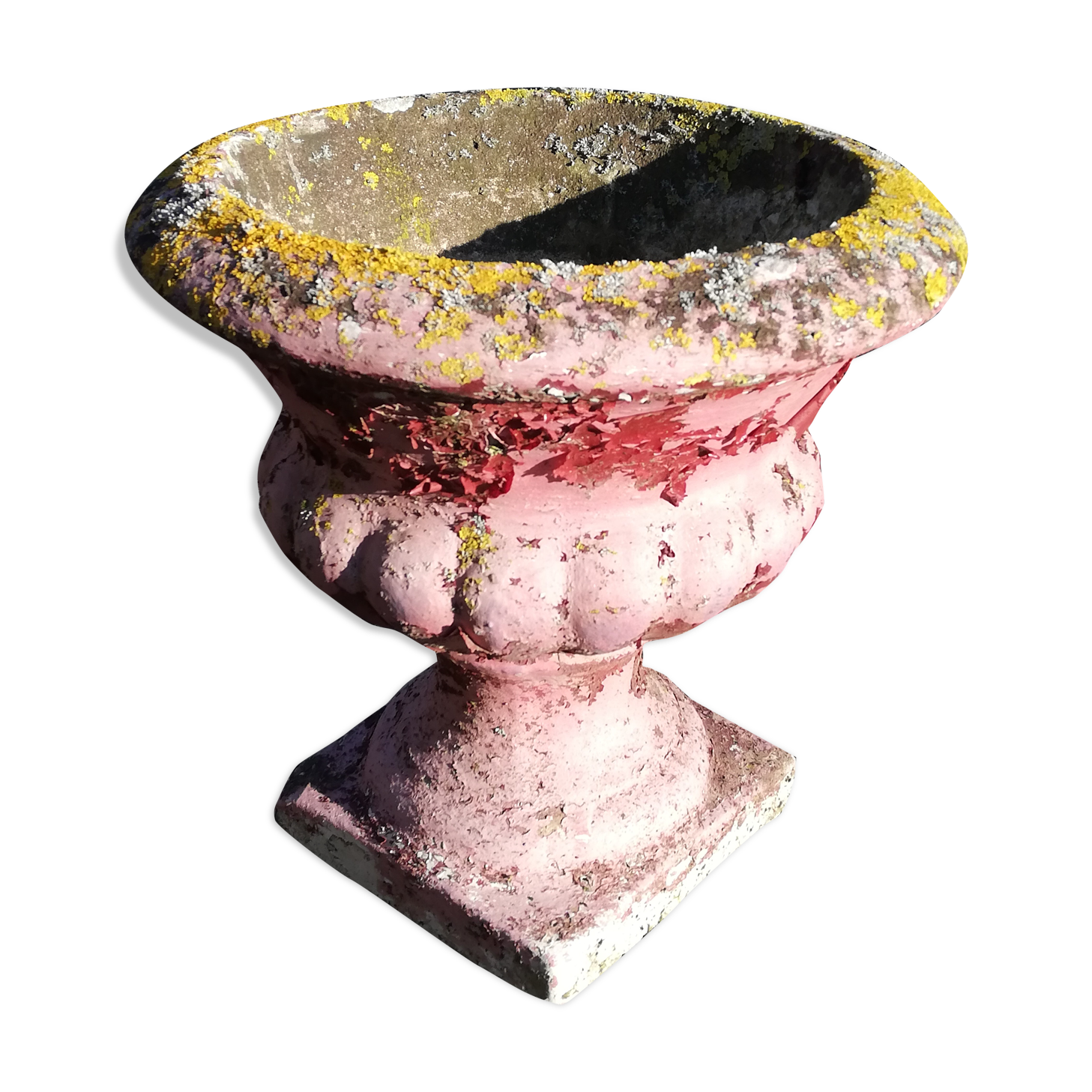 Ancient medicis vase