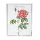 Botanical plank Rose de Provins