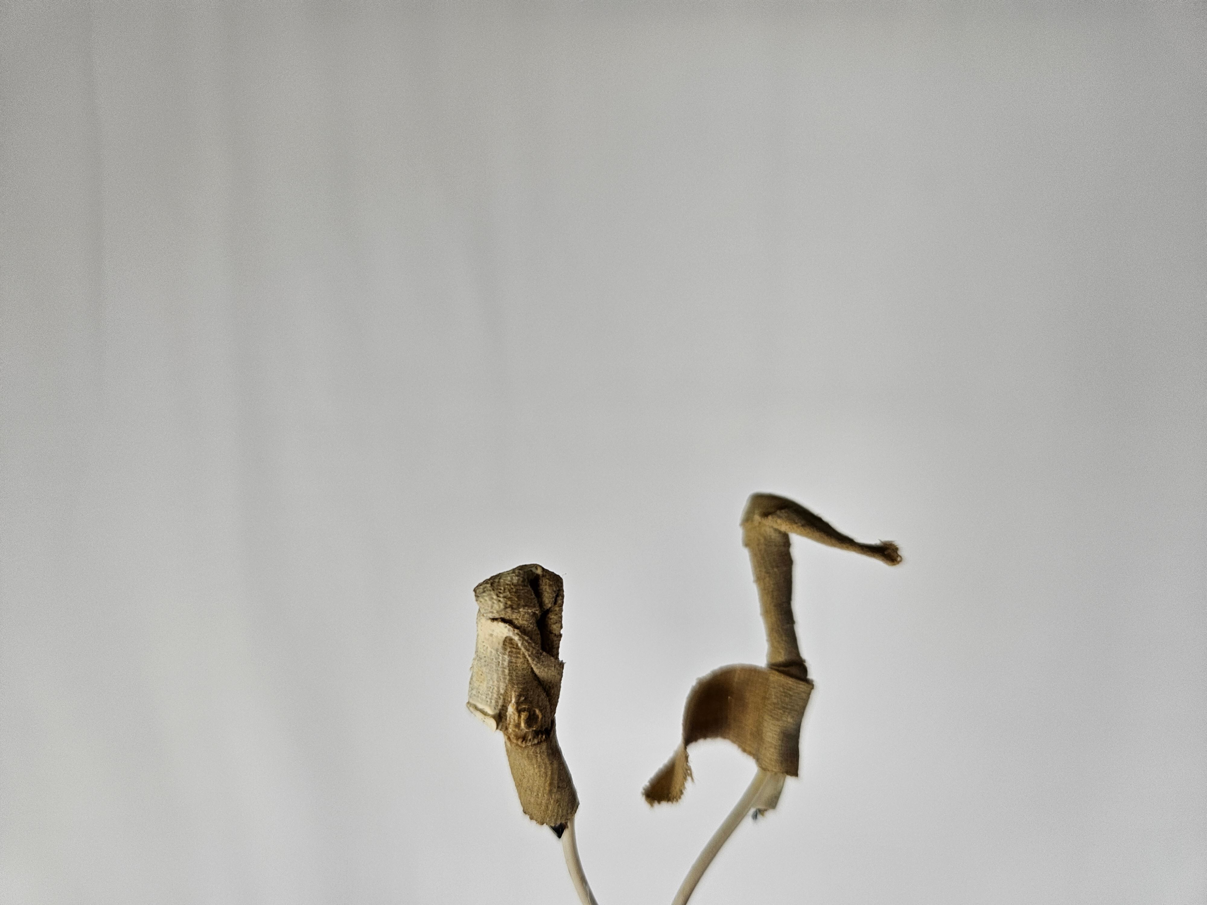 Murano glass chandelier with 14 tubular pendants