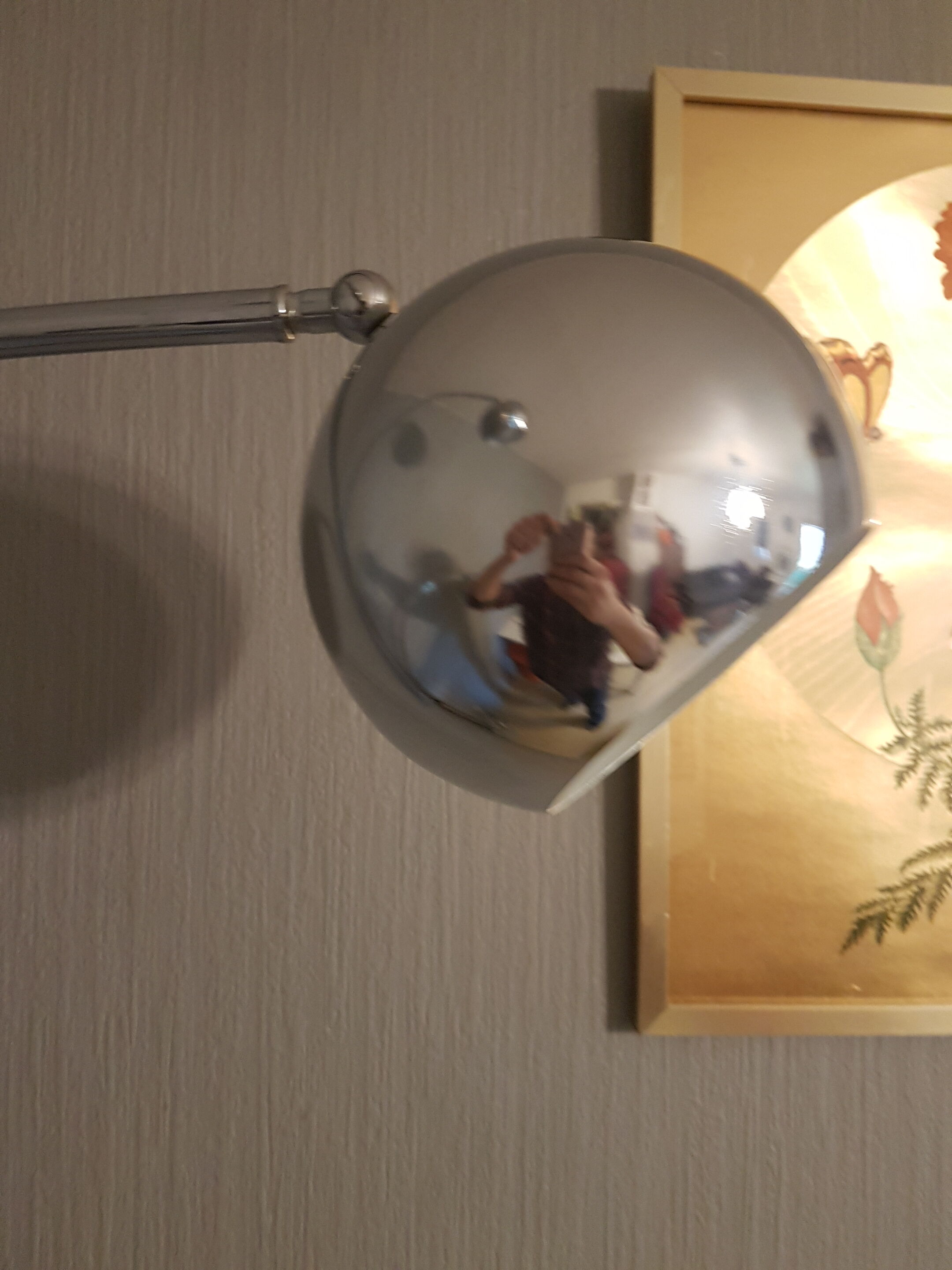 True thrush Gioffredo Reggiani lamppost