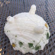 Shell-shaped trinket dish in white opaline with green foliage decoration