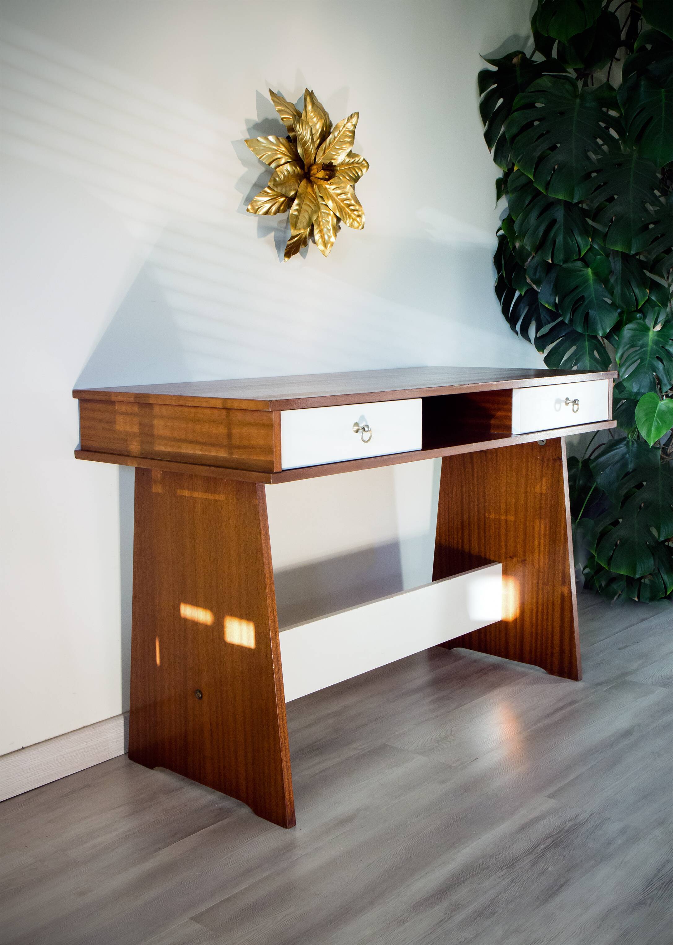 Office 70s mahogany and white