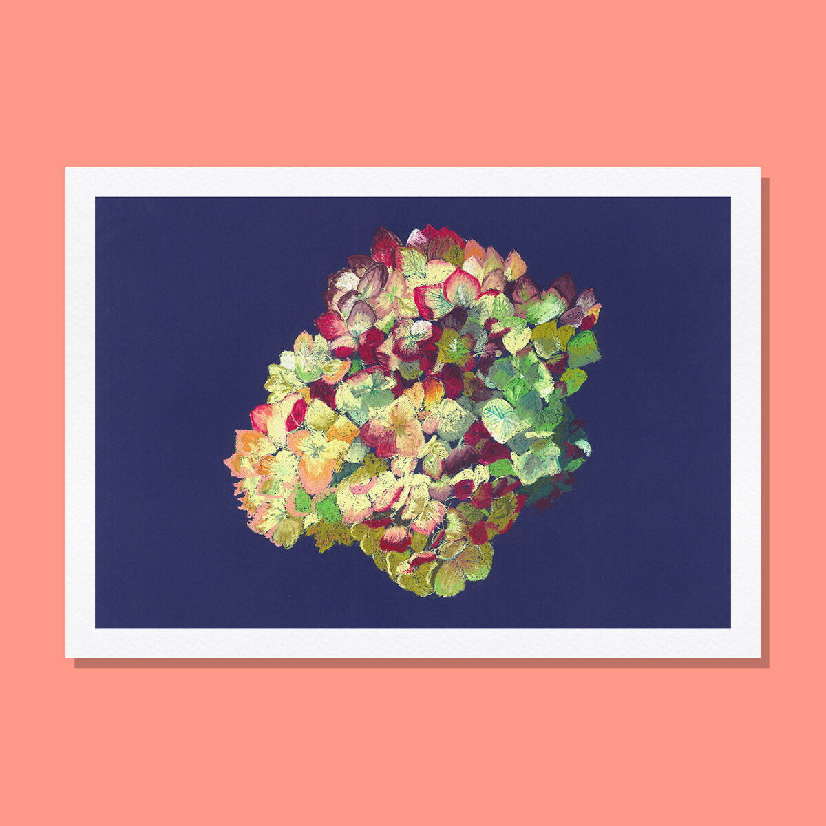 Pastel Hortensia A4 flower