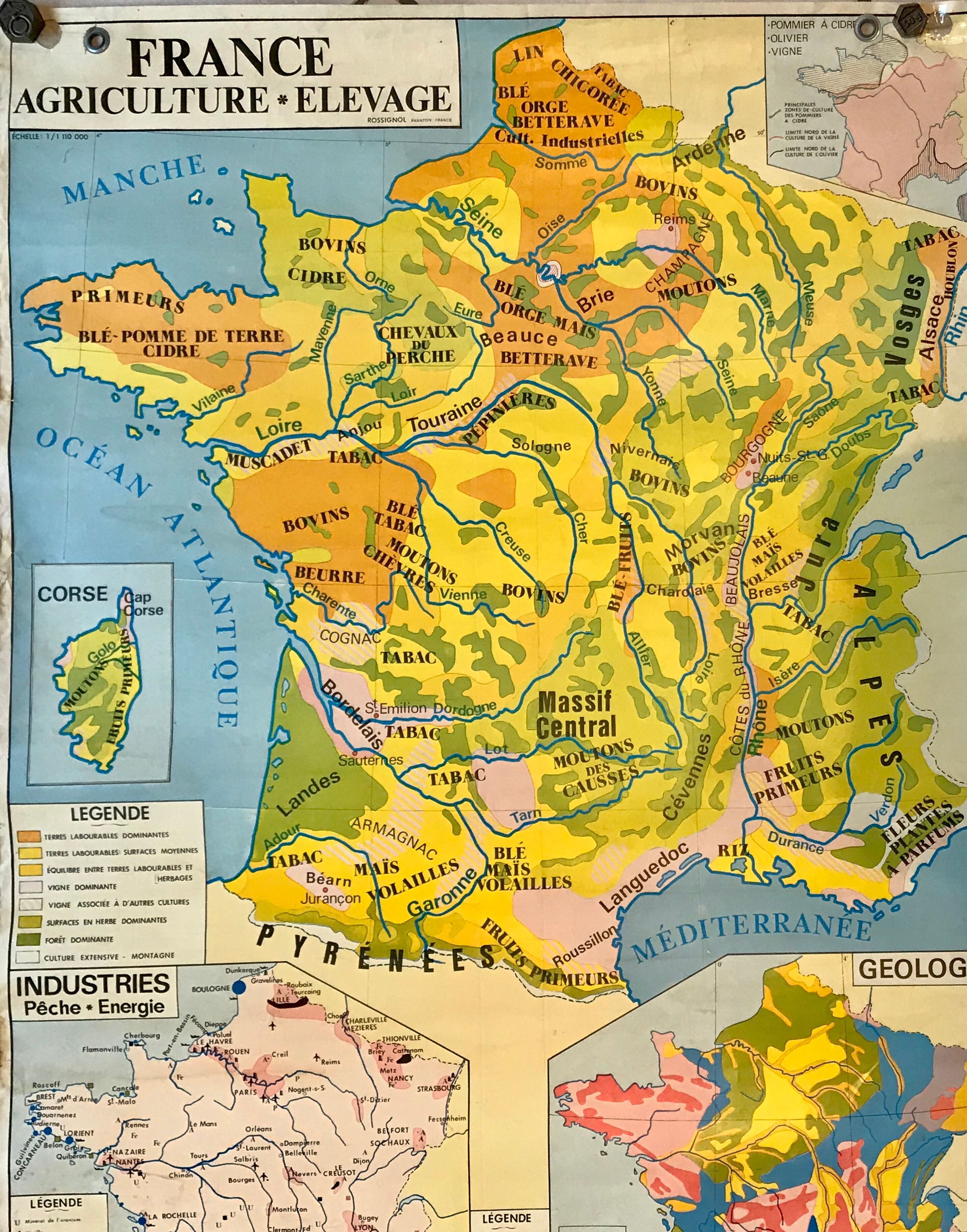 School map of france agriculture & livestock and administrative france 50s-60s