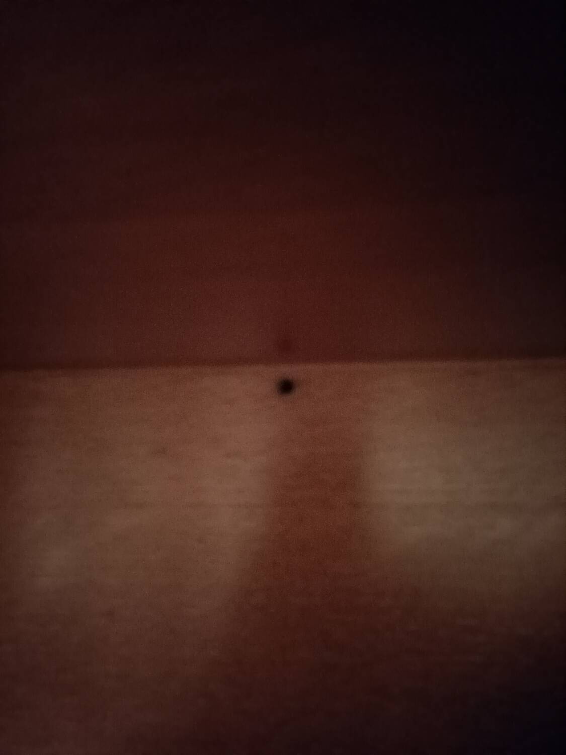 Wooden and rattan wardrobe