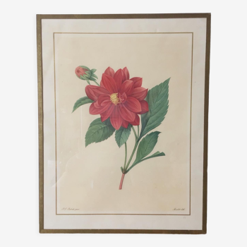 Cadre vintage lithographie Redouté fleurs