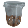 Rex glass jar
