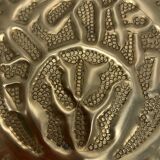 Brilliant brass dish
