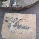Ancienne table appoint tripode bois pieds boules XIX sculpté
