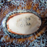 ceramic crab shell empty pocket