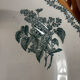 Set of 3 deep plates Terre de Fer St Amand bouquet