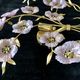 Barovier and Toso pair of flower model sonces in gold finish and gilding bouquets
