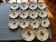 Service assiettes sarguemines