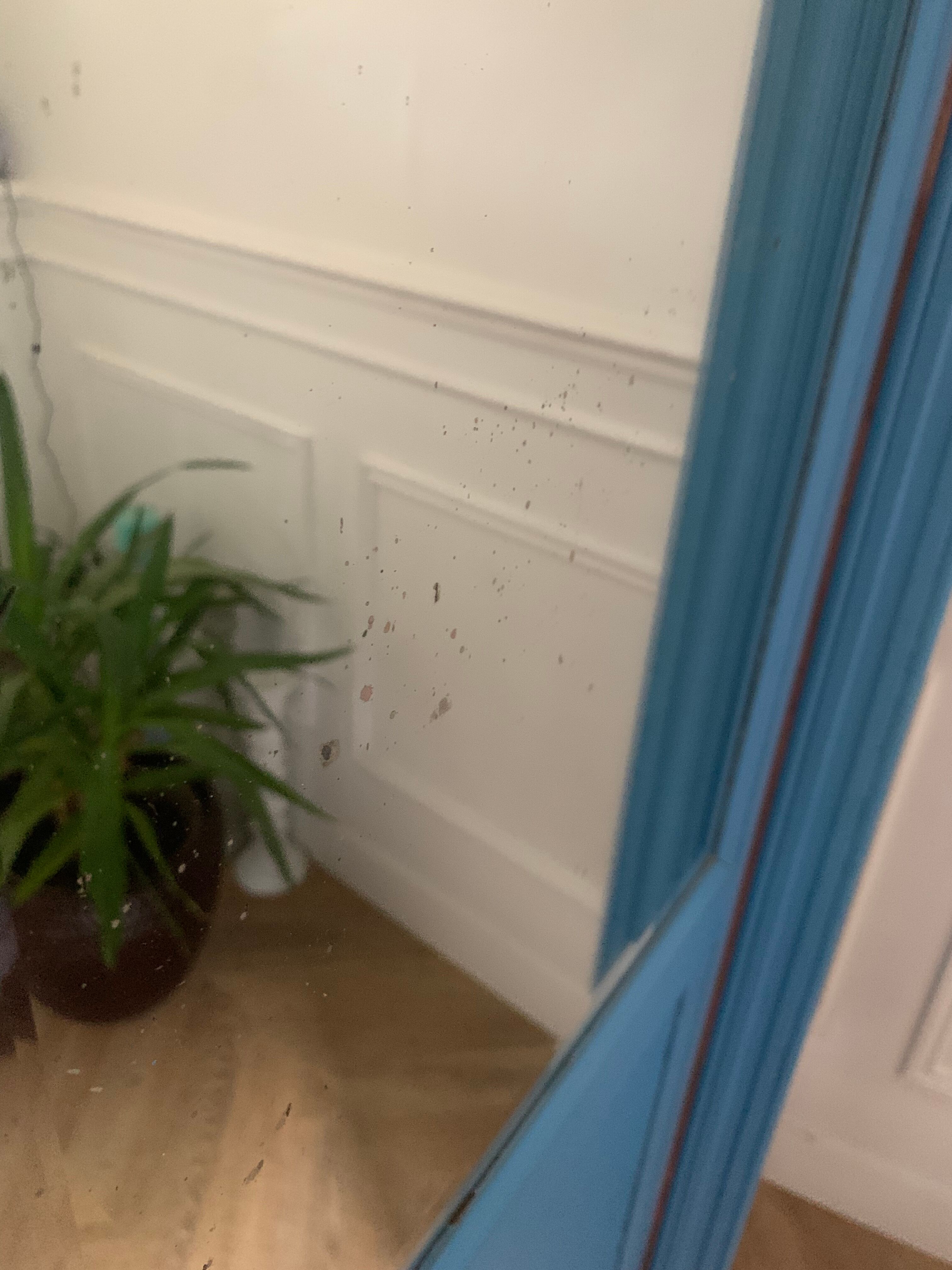 Vintage parisian cabinet