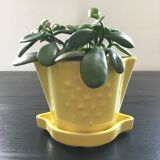 Lemon pot cache