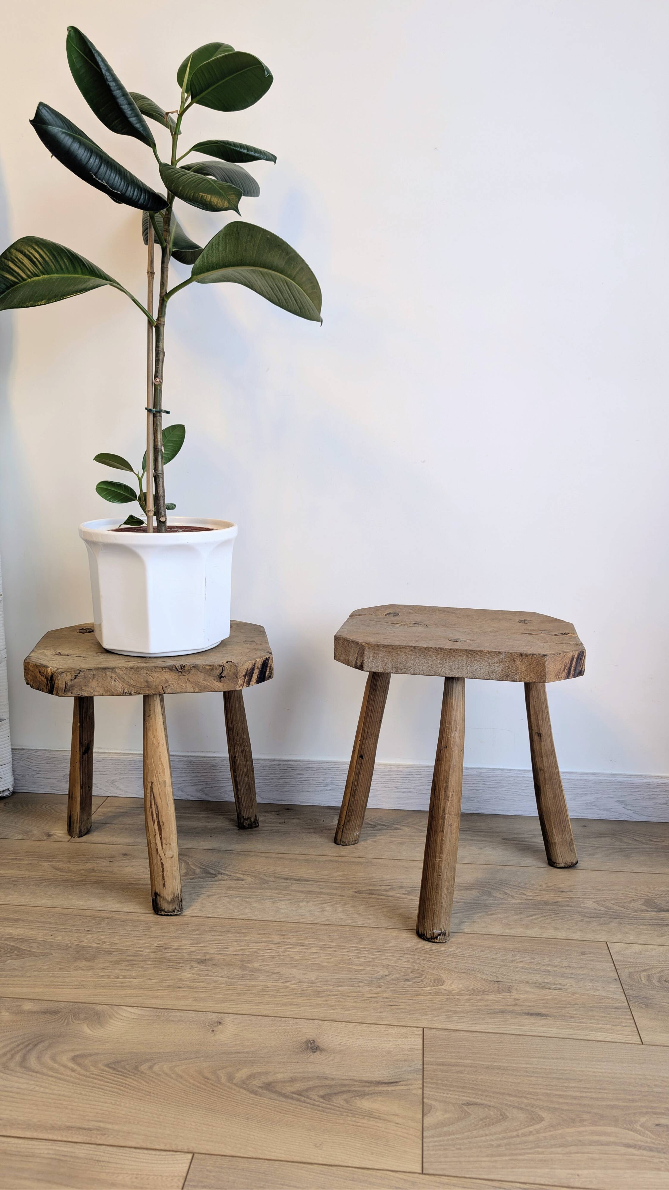 Paire de tabourets brutalistes anciens en bois massif