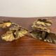 Patère embrasse rideau bronze
