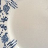 Lot of 6 flat plates hazelnuts of sarreguemines