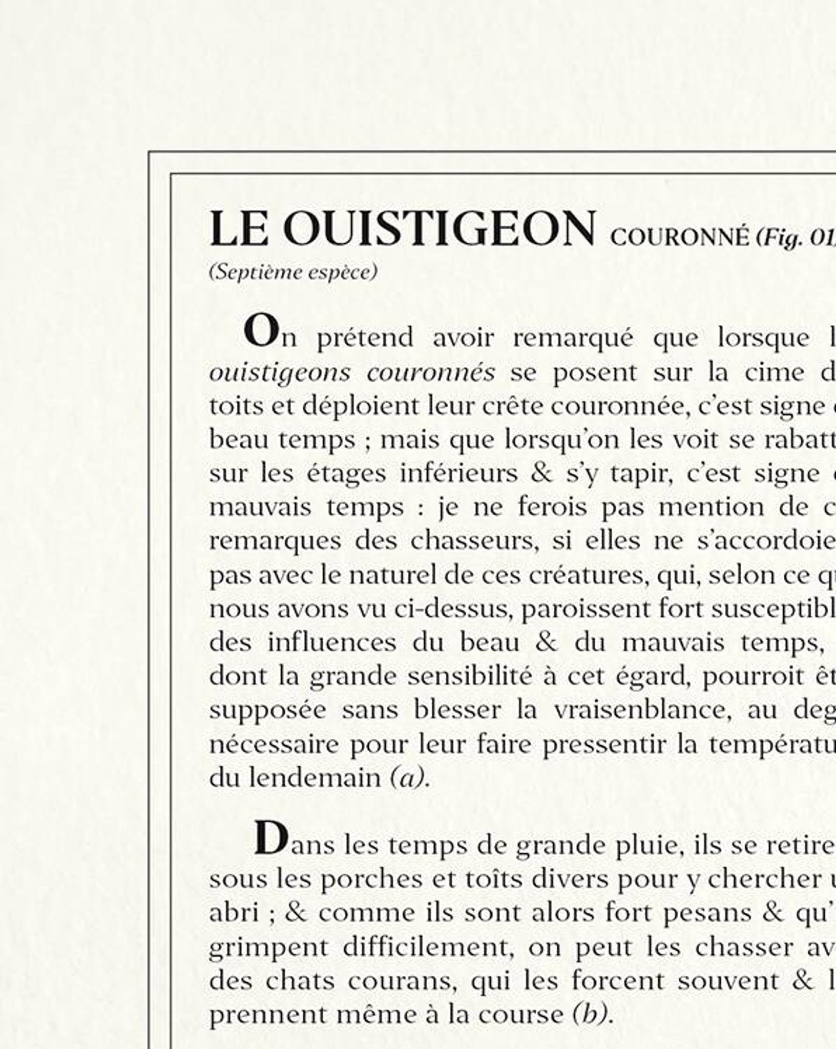 Chimère lithographie gravure animal - le ouistigeon
