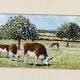 Pastoral oil painting, cows in the meadow